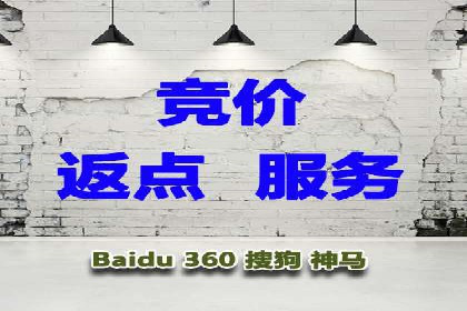 揭秘百度竞价排名：实战案例解析